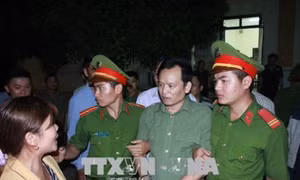 Xử lý nghiêm các đối tượng hủy hoại rừng
