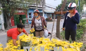 Sôi động thị trường tiêu dùng tại Thành phố Hồ Chí Minh ngày ông Công, ông Táo