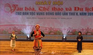 Liên hoan nghệ thuật quần chúng và trình diễn trang phục truyền thống các dân tộc vùng Đông Bắc
