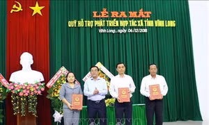 Vĩnh Long hỗ trợ vốn phát triển hợp tác xã