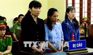 Thành phố Hồ Chí Minh: Xét xử vụ bạo hành trẻ em tại cơ sở mầm non tư thục Mầm Xanh