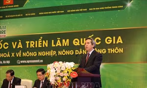 Nền nông nghiệp vững mạnh - yếu tố đảm bảo quá trình phát triển bền vững