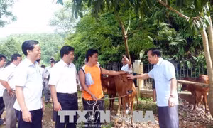 Tuyên Quang hỗ trợ các hộ đồng bào dân tộc thiểu số thoát nghèo bền vững