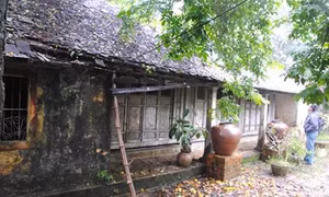 Bảo tồn nhà rường cổ ở Phước Tích, Thừa Thiên - Huế