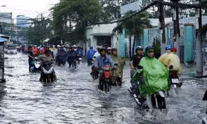 Quy hoạch chống ngập cho Thành phố Hồ Chí Minh (Bài 2)