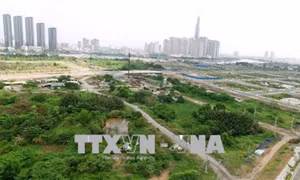 Quản lý đất công tại Thành phố Hồ Chí Minh (Bài 2)