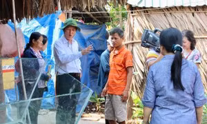 Thành phố Hồ Chí Minh: Một trường hợp tử vong do sốt xuất huyết