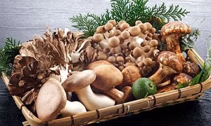 Những thực phẩm nên tránh khi bị loãng xương