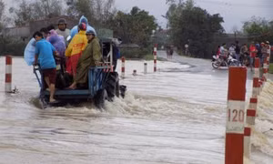 Kiên Giang đối phó với mưa bão và nước lên ở đầu nguồn sông Cửu Long
