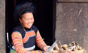 Phụ nữ vùng cao Bắc Yên chung tay phát triển kinh tế