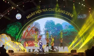 Hàng chục nghìn du khách đến với Ngày hội Na Chi Lăng năm 2018