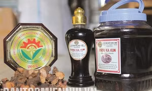 Đông Giang phát triển kinh tế từ nông sản đặc sản