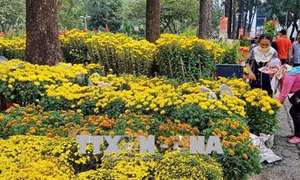 Thành phố Hồ Chí Minh tổ chức Hội hoa xuân Mậu Tuất 2018