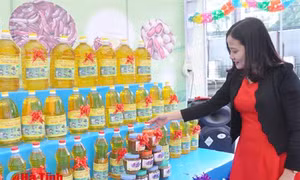 Rươi, cáy Nghi Xuân thơm ngon “khó cưỡng”