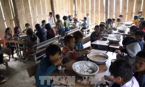 Hỗ trợ phát triển giáo dục vùng dân tộc thiểu số và miền núi