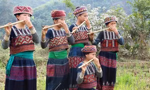 Độc đáo sắc màu Xa Phó