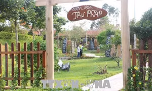 Tuần lễ Du lịch Đồng Tháp “ Hành trình kết nối văn hóa Phương Nam”