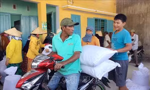 Cấp phát hơn 1.100 tấn gạo hỗ trợ người dân vùng hạn Ninh Thuận