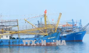 Quảng Nam tạo điều kiện để ngư dân làm giàu từ biển