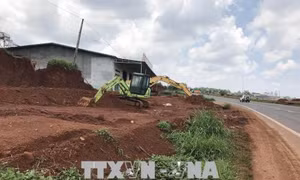 Cần xử lý nghiêm tình trạng lấn chiếm hành lang đường Hồ Chí Minh đoạn qua Đắk Nông