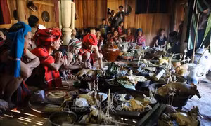 Phục dựng Lễ hội truyền thống Aza Koonh của đồng bào Pa Cô