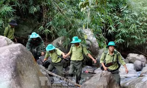 Các tỉnh Tây Nguyên sớm chủ động phòng chống cháy rừng