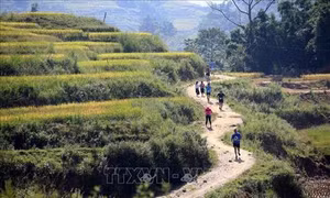 Hơn 3.100 vận động viên tham gia Giải Marathon vượt núi quốc tế Sa Pa năm 2018
