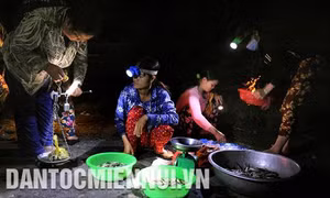 Chợ cá “âm phủ” Tha La mùa nước nổi