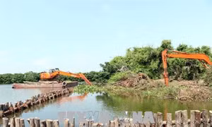 Hải Dương tu bổ, tôn tạo di tích Khu danh thắng Quốc gia Đảo Cò