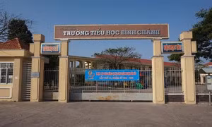 Kỷ luật cách chức Hiệu trưởng nhà trường trong vụ bắt giáo viên quỳ gối ở Long An