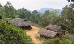 Điện Biên cần sớm di dời 14 hộ dân bản Mường Tỉnh A ra khỏi vùng sụt lún, nguy hiểm