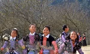 100 trẻ em gái sẽ tham dự diễn đàn "Thúc đẩy quyền của trẻ em gái để thay đổi và phát triển"