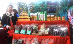 Hà Giang: Chia sẻ kinh nghiệm và nguồn lực hỗ trợ khởi nghiệp thành công