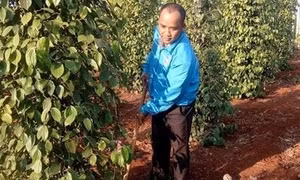 Đoàn viên A Yung hết mình với phong trào Đoàn ở vùng dân tộc thiểu số