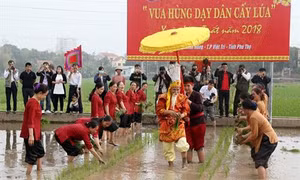 Về nơi Vua Hùng dạy dân cấy lúa