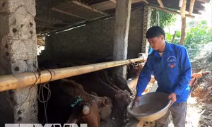 Thanh Hóa xây dựng nông thôn mới ở huyện miền núi Quan Sơn