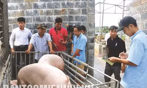 Hướng đi mới cho các hợp tác xã ở Đắk Nông