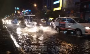 Thành phố Hồ Chí Minh: Thực hiện đồng bộ các giải pháp nhằm chống ngập nước trong mùa mưa