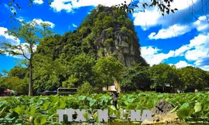 Du lịch trực tuyến (Bài 2)