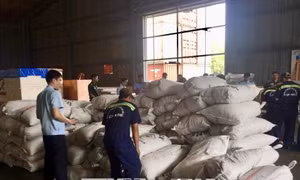 Hải quan Thành phố Hồ Chí Minh tiếp tục thu giữ 3,3 tấn vảy tê tê nhập khẩu trái phép