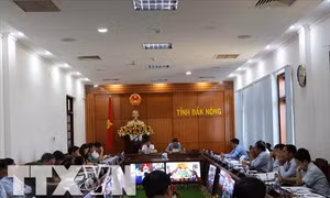 Đắk Nông tìm biện pháp ngăn chặn, xử lý tình trạng phá rừng