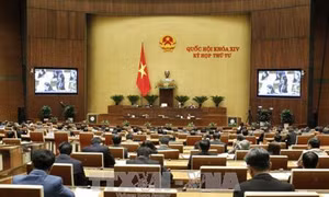 Tạo điều kiện cho người dân, cơ quan tổ chức cá nhân thực hiện quyền tố cáo