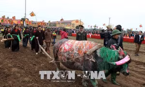 Khai hội Tịch điền Đọi Sơn năm 2018