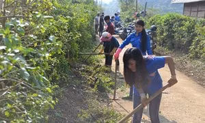 Tuổi trẻ Lai Châu nỗ lực phát triển kinh tế