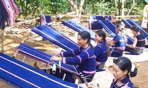 Tăng cường đào tạo nghề vùng dân tộc thiểu số huyện Đăk Đoa