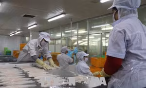 Tiền Giang tăng cường quản lý vệ sinh thực phẩm