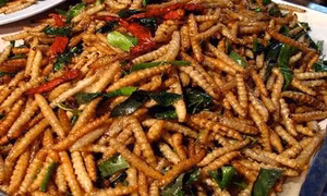 Sâu chít - "Đông trùng hạ thảo" của Việt Nam