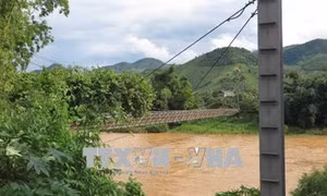 Cần sớm có kết luận về nguyên nhân sự cố tụt cáp cầu treo ở Sơn La
