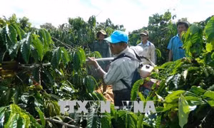 Người nông dân đam mê sáng chế máy nông nghiệp Đỗ Đức Quang
