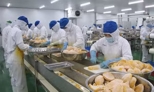 Long An: Bảo vệ môi trường trong các khu, cụm công nghiệp còn nhiều bất cập